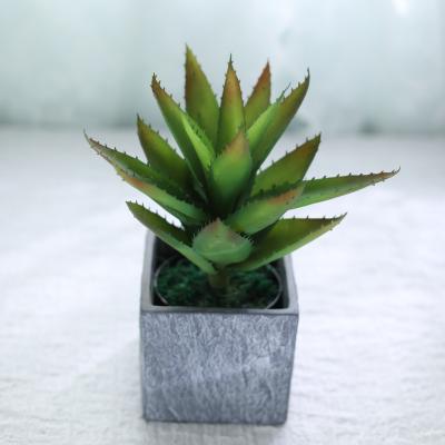 Cina Artificiali simulati ornano la decorazione della Tabella di Vera Plant Potted Indoor Bonsai dell'aloe in vendita