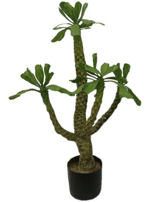 Cina Alberi artificiali Pachypodium Lamerei Drake Indoor Decor del paesaggio di altezza 100cm in vendita