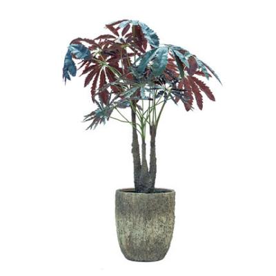 China Peacock Wood Artificial Tropical Tree Potted Plant Indoor Window Office Floor Decoration for sale