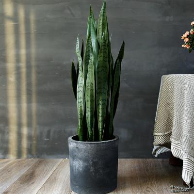 Cina L'atterraggio conservato in vaso artificiale della pianta dell'agave dei bonsai orna la decorazione dell'interno in vendita