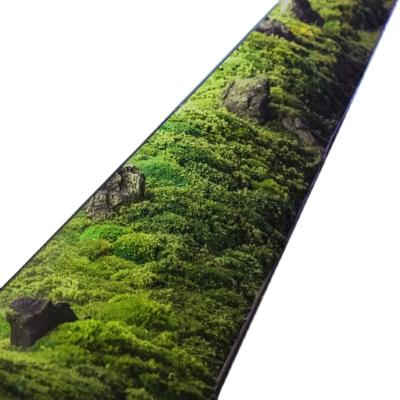 China Natürliche konservierte nordische Bonsais künstlicher Moss For Green Plant Wall zu verkaufen