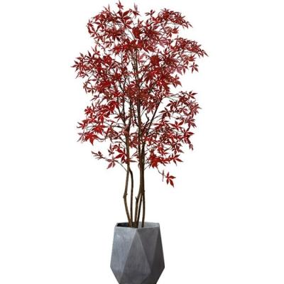 China Bonsais en conserva artificiales Autumn Red Maple Tree de las plantas del piso de la altura el 180cm en venta