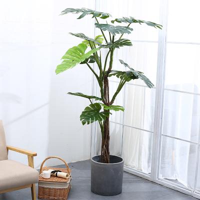 China planta tropical artificial Monstera da folha do verde da árvore da altura de 175cm para a decoração da casa à venda