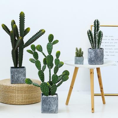 China Fashion Cactus And Succulent Fake Plastic Plant For Home Decoration for sale