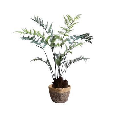 Chine coin mis en pot vert artificiel de fenêtre de bonsaïs de taille de 150cm aménageant grand Fern Tree en parc à vendre