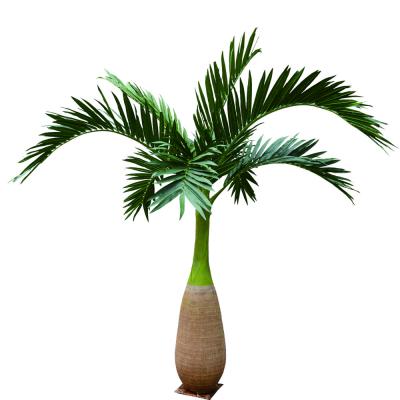 China Palmera artificial decorativa de la botella de las hojas plásticas para el centro comercial en venta