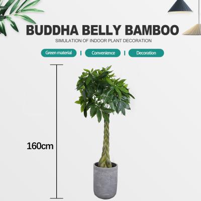 China Artificial Money Tree For Home Hanging Plants Decoration Green Color Plastic Grass Indor Decorati for sale