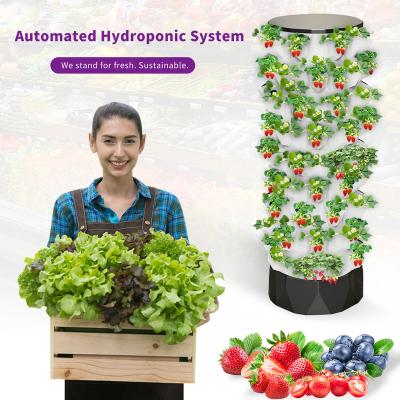 China Farms Garden automatic vertical hydroponic strawberry tower hydroponic indoor growing systems for sale