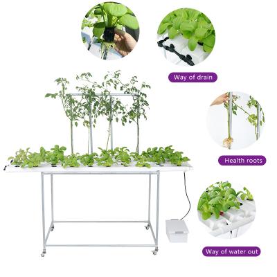 China Farms Indoor vertical htdroponic nft channel greenhouse hydroponics grow kit system for sale