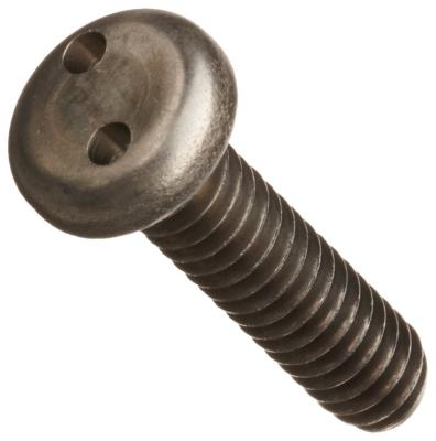 China Pan Tamper Proof Hog Nose Security Screw for sale