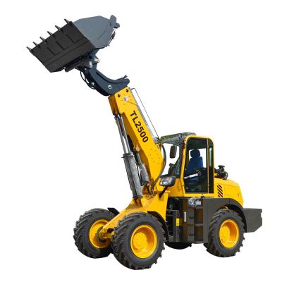 China Home Use China Heracles TL2500 Boom Loader Telescopic Attachment for sale