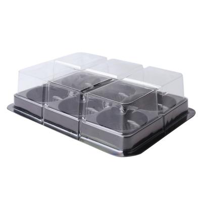 China 6 Cavities Moon Cake Disposable Clear Mochi Container Plastic Tray Baking Pastry Blister Packaging Box for sale