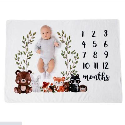 China Custom Baby Milestone Blanket Anti-bacteria Photo Fleece Soft Thick German French-Italian Baby Milestone Monthly Blanket for sale