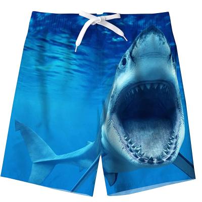 China Custom 100% Polyester Quick Dry Moisture Wicking Logo Shorts Men's Casual for sale