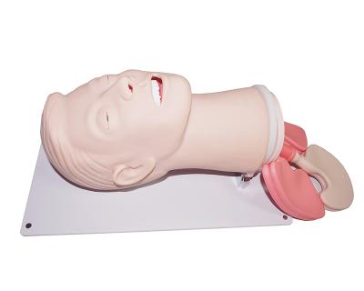 China School Model Advanced Airway Management Teaching Manikin for sale