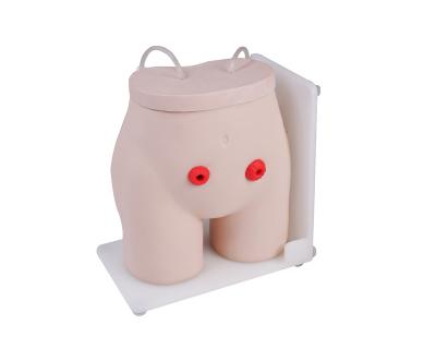 China School Model Fistula Ostomy Nursing Teaching Model for sale