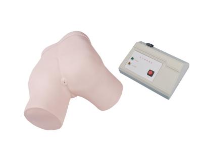 China Teaching Model Enema Monitoring School Model for sale