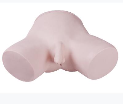 China School Male Catheterization Model Teaching Model for sale