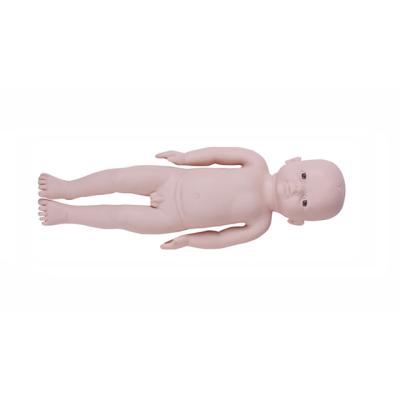 China School Model Newborn Physical Examination Teaching Model for sale