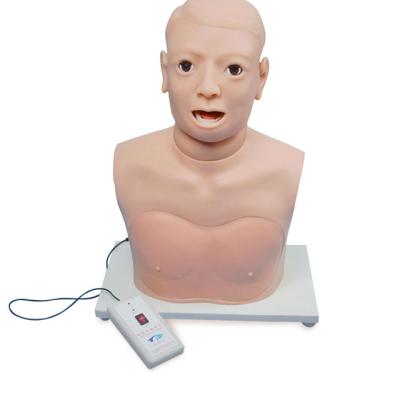 China School Pharynx Teaching Model and Larynx Examination Model (Electronic Monitoring) for sale