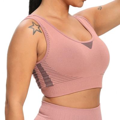 China QUICK DRY Women Equipments Exercise Set Sporty Seamless High Waist With Sports Bra Recycled Sports Bra for sale