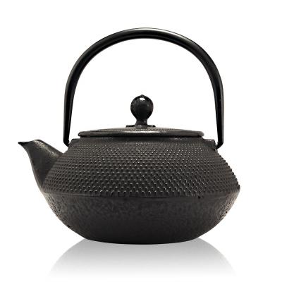 China Sustainable 600ml Black Noggin Tetsubin Kettle Cast Iron Teapot With Infuser Filter for sale