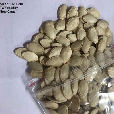 China Dry Shine Skin Pumpkin Seeds (Lady's Nail) Cheap Price for sale