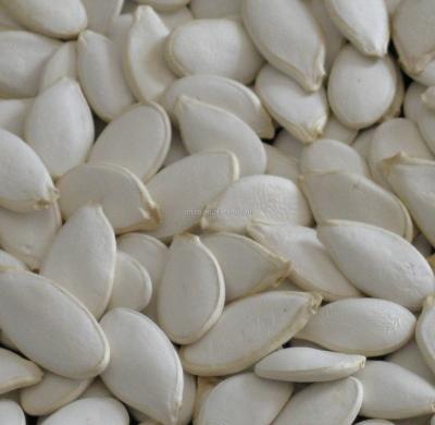 China Cultivation High Quality New Snow Dry White Pumpkin Seeds for sale