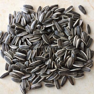 China Chinese high quality dry sunflower seeds with best price for sale