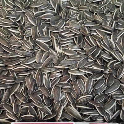 China Chinese high quality dry sunflower seeds 5009 for sale