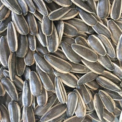 China Chinese new crop dry high quality sunflower seeds 361 for sale