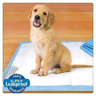 China Wholesale Disposable Indoor Pet Pee Pad Dog Training Small or Large Stocked for sale