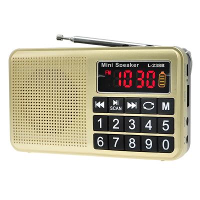 China Hot Selling LCJ L-238B Thailand PORTABLE Buddhism Player Portable Radio with USB and SD Card Slot for sale