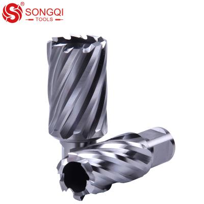 China Stainless Steel HSS Cutting Tools High Speed ​​Steel Annular Cutter For Steel Plate for sale