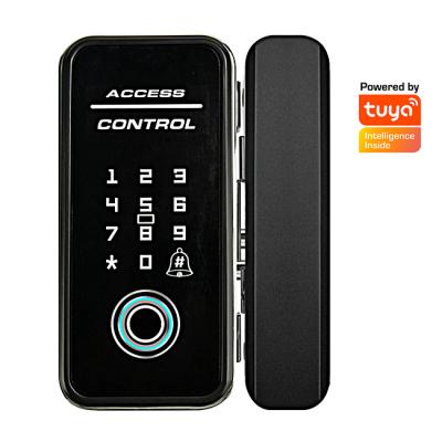 China Tuya key 80-120MM door collection fingerprint door lock smartsteps door lock adobe smart glass door lock smartsteps for sale