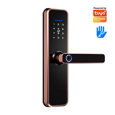 China 40-170MM fingerprint door lock smart door lock ttlock tuya tuya wifi electric password for sale