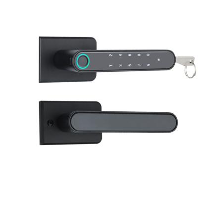 China 38-55MM guangdong*hyh hardware intelligentsmart hardware door digital fingerprint lock smart magnetic lock for sale