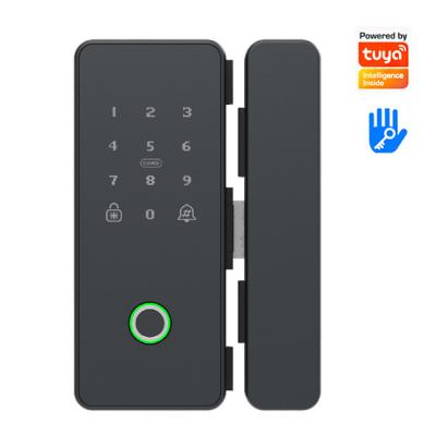 China 8-12MM or 40-80MM fingerprint lock ttlock smart smart smart remote control door lock adobe master collection for sale