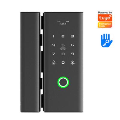 China 8-12MM or 40-80MM TUYA WIFI smart lock security appletdoorbell without installation TTlock opening electronic door lock for sale