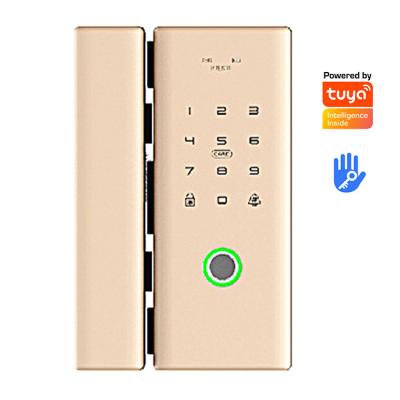 China Multifunctional 8-12MM or 40-80MM ttlock lock smart security wifi door lock fingerprint self-locking smartsteps for sale