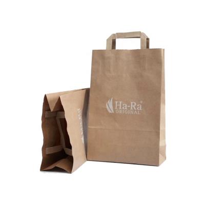 China High Quality Eco Friendly Custom Logo Printed a4 Size Shopping Bolsas De Papel Craft Paper Bags with Handle for sale