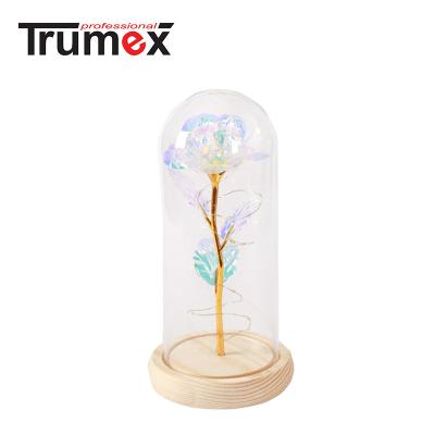 China PLASTIC+GLASS+WOOD Gold Glass Cover Colorful Artificial Rose Flower LED Light for sale