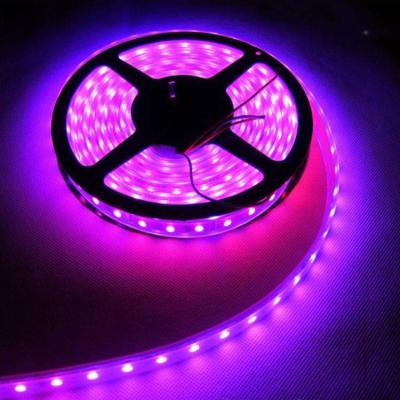 China LANDSCAPE China Professional Manufacture Customize Bright Multi Color Led Strip , Color Changing Led Strip Lights for sale