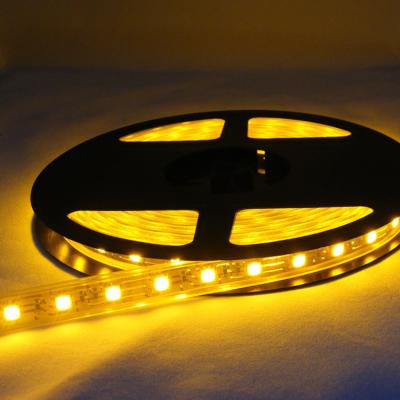 China New type new high quality sale LANDSCAPE RGB led strip led strip for sale