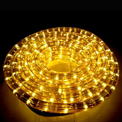 China Very durable PVC 2020 well known for its fine quality Christmas led light series for sale