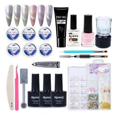 China Professional Nail Art DIY Decoration IMAGNAIL Manicure Tools Kit Soak Off UV LED Eye Gel Nail Polish Set for sale