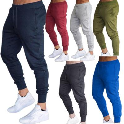 China wholesale active custom waist elastic gym pants men's wear Anti-wrinkle sports polyester pants for sale