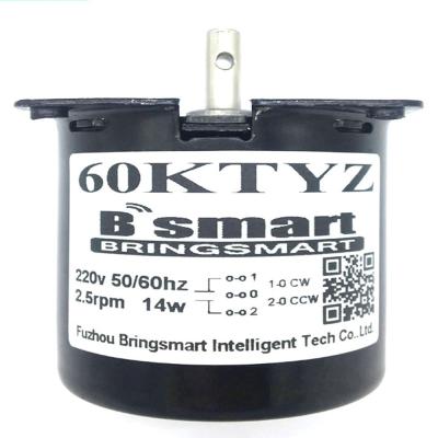 China Bringsamrt Wholesale 60KTYZ AC Motor 110v 220V High Torque 2.5-110rpm Gear Reducer Totally Enclosed Permanent Magnet Synchronous Motor 60KTYZ for sale