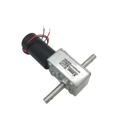 China BringSmart Totally Enclosed 5840-31ZY Reversed High Low Torque RPM Self-lock 12v 24v DC Double Shaft Worm Gear Motor For Auto Hangers for sale