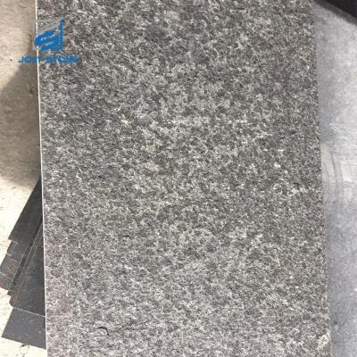 中国 Modern Most Popular China G684 Flamed Granite Tile Black Granite 販売のため